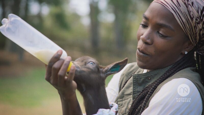 . – Bild: Warner Bros. Discovery