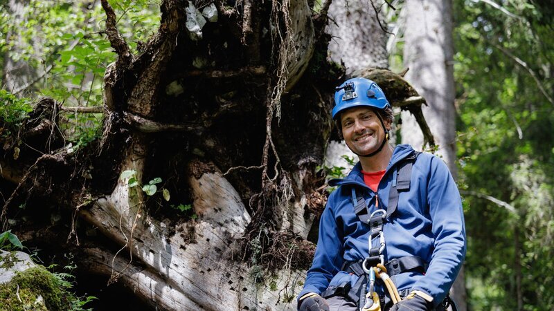 Uli Kunz sitzt mit Schutzhelm und Kletterausrüstung auf einen Baumstamm im rumänischen Wald. – Bild: ZDF und Niklas Ruddies