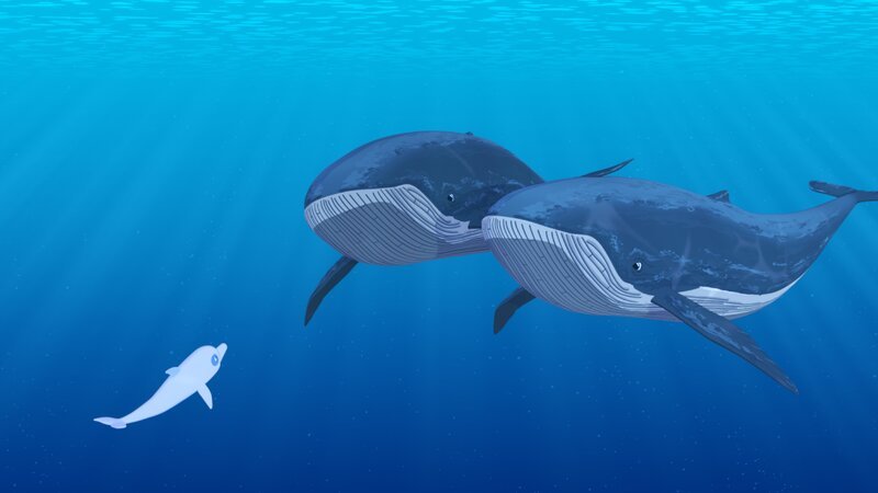Zoom, der weiße Delfin, hat zwei Wale getroffen und kommuniziert mit ihnen. Sie suchen ihr Junges und Zoom kann ihnen dabei helfen. – Bild: ZDF/​c Media Valley/​Marzipan Films/​TF1/​Gaumont Animation
