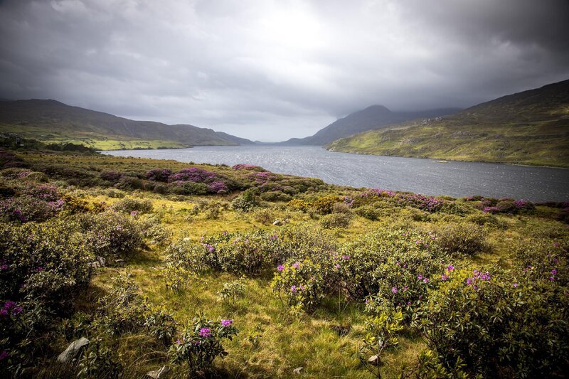 Aussichtspunkt in Killary – Bild: RTL