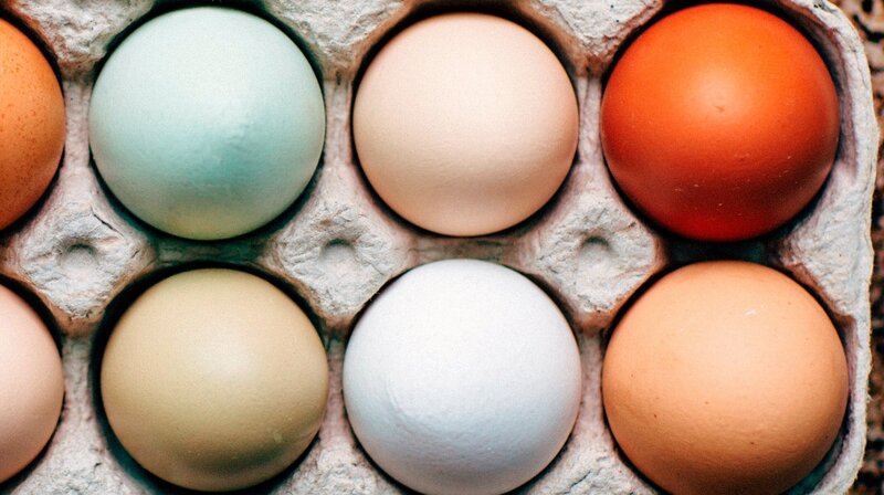 Ausgefallene Rassen sorgen für naturbunte Eier. – Bild: NDR/​jumpmedienTV GmbH/​Helge Stütze