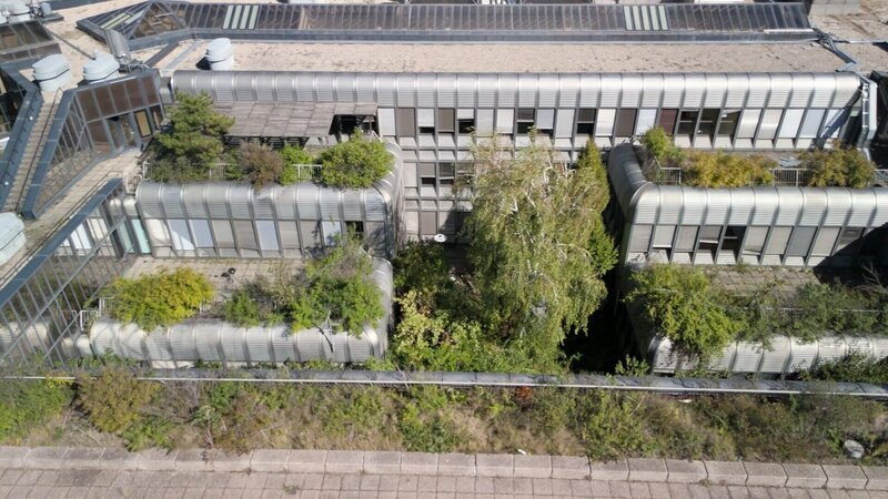 Verselbstständiger Dachgarten der ehemaligen Wirtschaftsuniversität. – Bild: PATRICE FUCHS /​ ORF