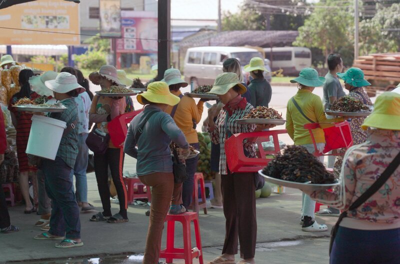 Auf dem Markt in der kambodschanischen Kleinstadt Skun gibt es Grillen, Seidenwürmer, Heuschrecken und vieles mehr. – Bild: Tournez S’il Vous Plaît