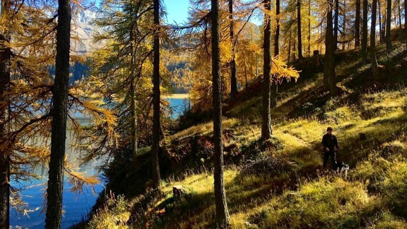 Wildhüter. – Bild: ZDF und SRF/​Mediafisch