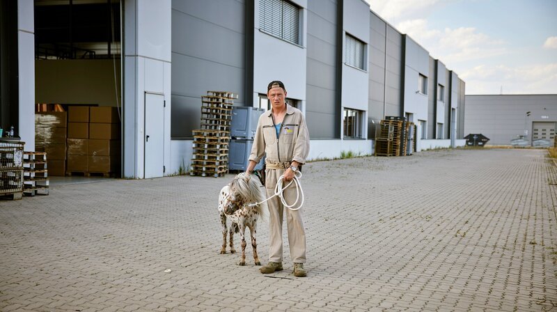 Ronny (Vinzent Krüger) und sein wildes Pony Jazzy. – Bild: NDR/​Kinescope Film/​O-Young Kwon
