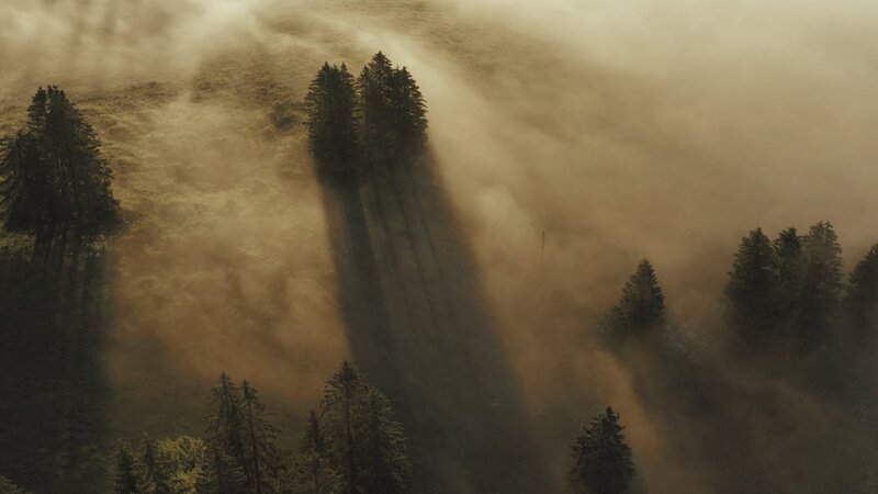 Morgenstimmung Vallée de Joux. – Bild: 3sat