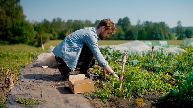 Pflanzenforscher David Spencer arbeitet im Labor mit Gentechnik, um Sojapflanzen widerstandsfähig gegen eine Pilzkrankheit zu machen. In seiner Freizeit baut er in seinem Selbstversorgergarten Bio-Gemüse an. Für ihn ist das kein Widerspruch. – Bild: SWR/​Bilderfest /​ SWR Presse/​Bildkommunikation