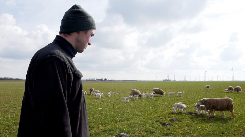 Henning Hecker blickt stolz auf seinen munteren Neuzuwachs. – Bild: NDR/​JOKER PICTURES GmbH