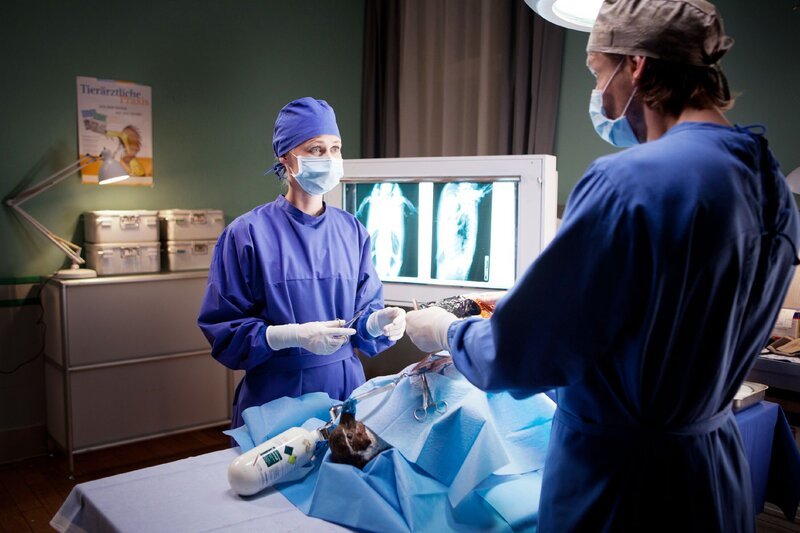Fritzi (Inez Bjorg David) und Falk (Bert Teschendorf) operieren Pinguin Ole. – Bild: MG RTL D /​ Conny Klein