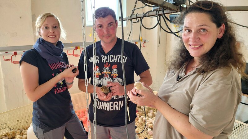 Christines Kunden haben ihre gesamte Hühnerherde durch die Vogelgrippe verloren. – Bild: NDR/​Peter Janßen