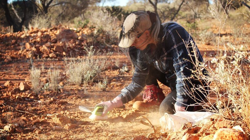 . – Bild: Warner Bros. Discovery