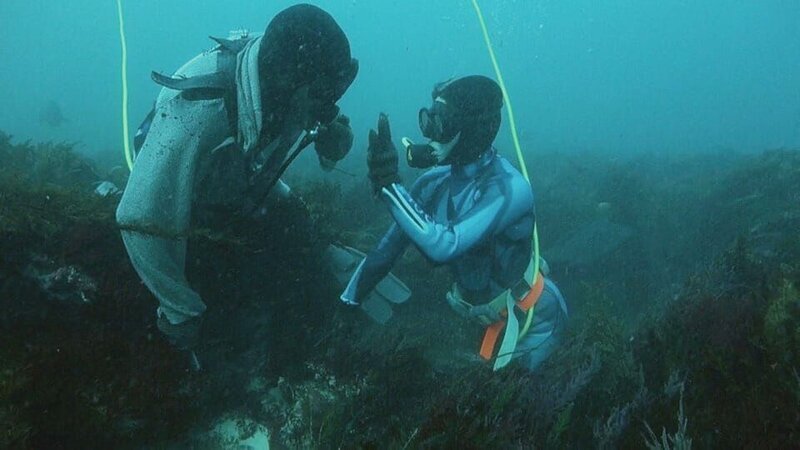 Divers. – Bild: Discovery Channel