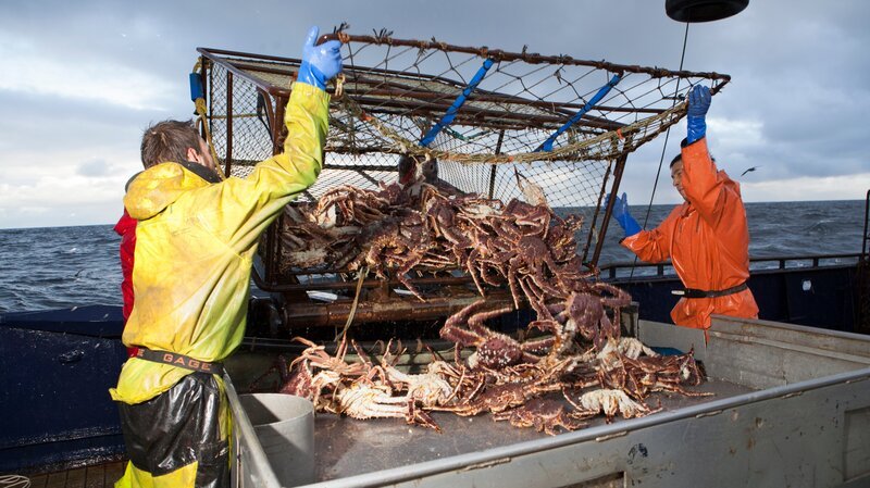 Cape Caution and pot of crabs. – Bild: Discovery Communications