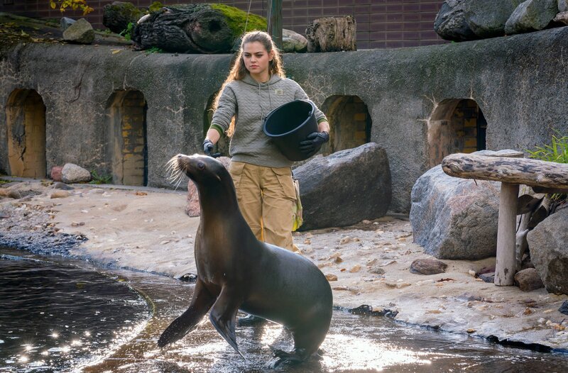 Die angehende Tierpflegerin Luisa Mertens (Lilly Wiedemann). – Bild: ARD/​Saxonia Media/​Steffen Junghans