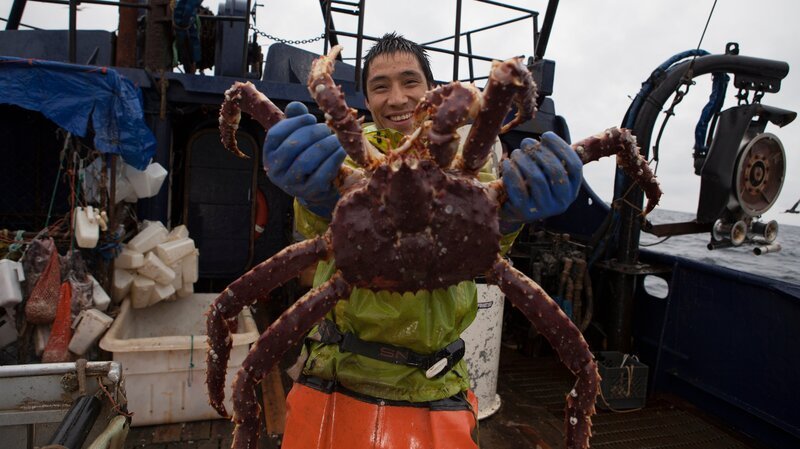 Cape Caution Greenhorn Ronnie James. – Bild: Discovery Channel