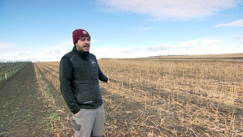 Jungbauer Sebastian auf einem seiner Felder im Seewinkel. – Bild: ORF