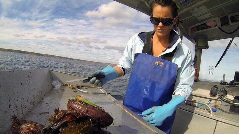 . – Bild: Warner Bros. Discovery