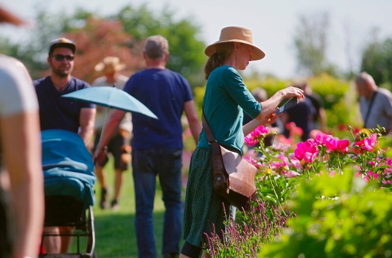 Pfingstrosenfest im Juni, Höhepunkt im Pfingstrosenjahr von Steffen Schulzes Gärtnerei – Bild: MDR/​Jim Günther