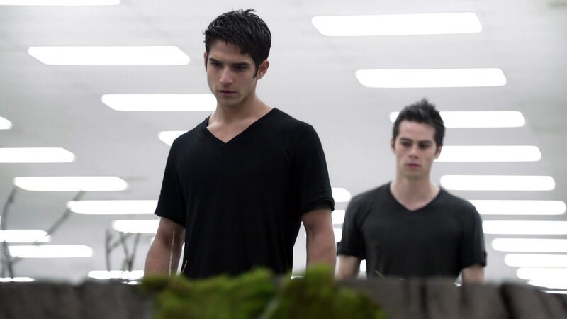 Mit Deaton’s Hilfe finden Scott (Tyler Posey, li.), Stiles (Dylan O’Brien, re.) und Allison (Crystal Reed) heraus, wo sich der Nemeton befindet. – Bild: RTL II