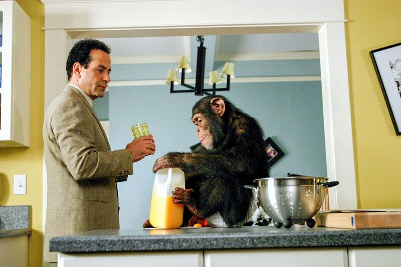 Monk ‚Mr. Monk and the Panic Room‘  (L-R) Tony Shaloub, Mowgli – Bild: Scott Humbert