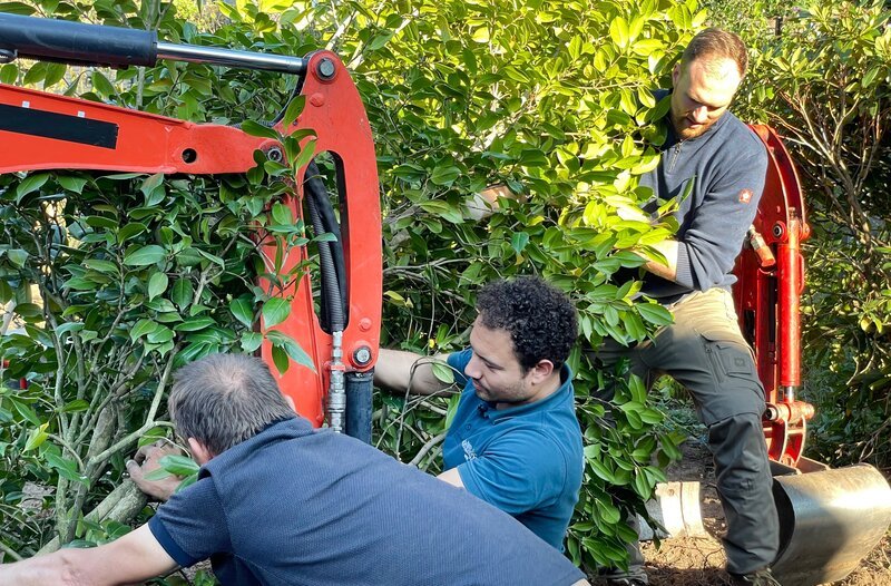 v.r. Lukas Tächl , Gartenbaumeister Mehmet Gürenc und Hans Jakabassa beim Versetzen der Kamelie. – Bild: WDR/​Imago TV