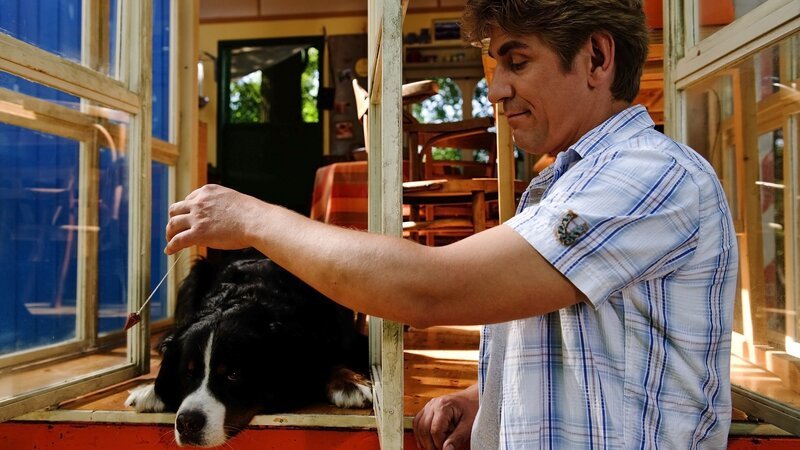 Tatsächlich das Pendel von Fritz (Guido Hammesfahr) wirkt und Keks wird müde. Oder spielt er nur? – Bild: ZDF/​Antje Dittmann