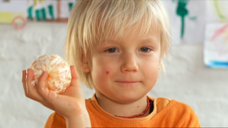 Milo will wissen, wie viele Scheiben eine Mandarine hat und zählt einfach nach. – Bild: WDR/​Die Sendung mit dem Elefanten