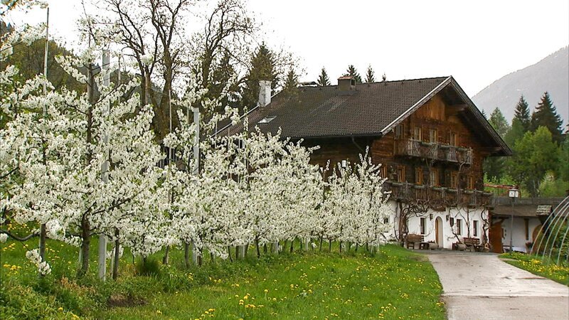 Kuenzhof. – Bild: ORF III