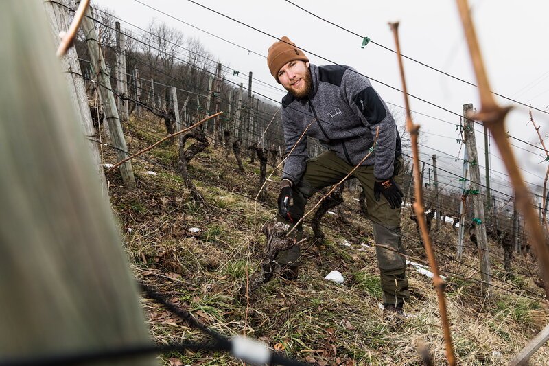 SRF bi de Lüt – Unser Dorf; Twann; Nick Bösiger, Winzer – Bild: SRF1