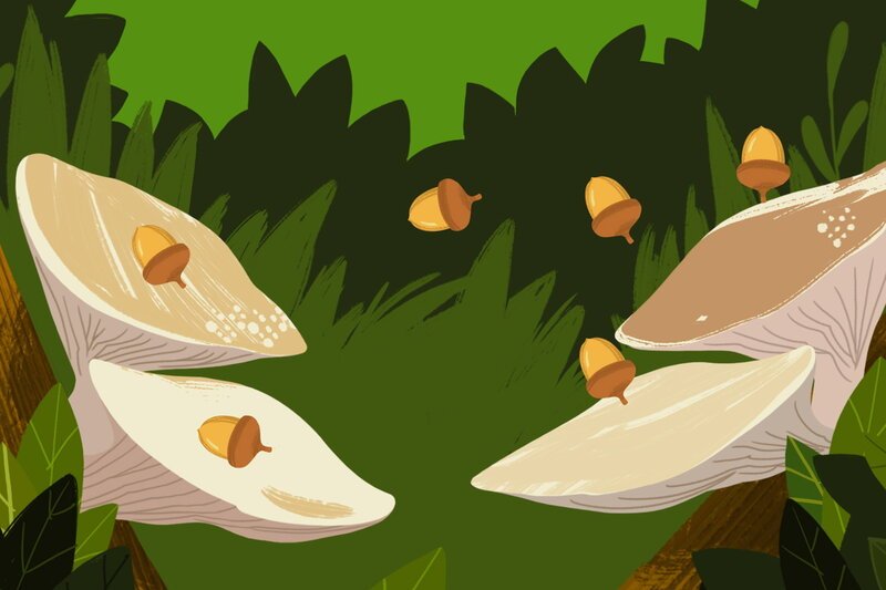 Guetnachtgschichtli
Ollie
Folge 13
Ollie freut sich, als er merkt, dass man mit Eicheln Musik machen kann. – Bild: SRF/​Monsterentertainment