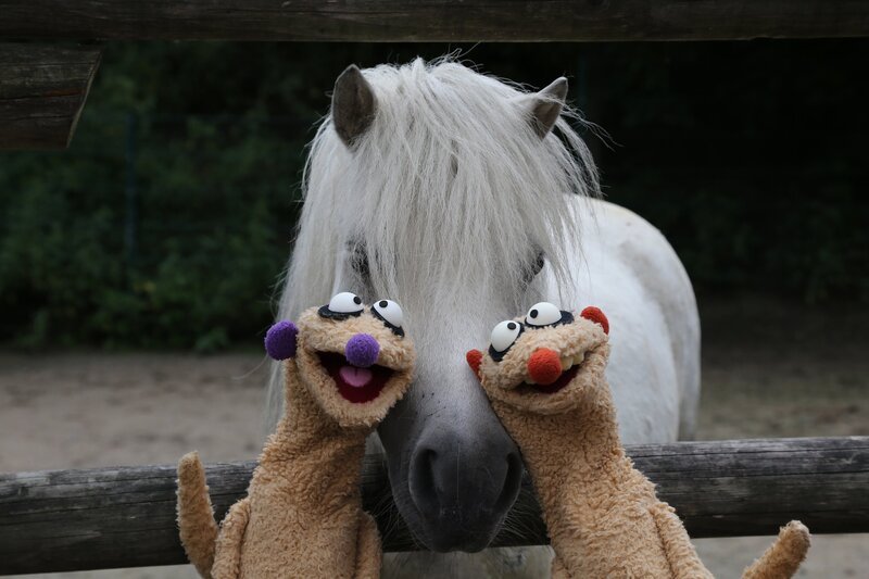 Jan und Henry machen sich darüber Gedanken, warum ihre Nasen unterschiedliche Farben haben. Überhaupt gibt es so viele verschiedene Personen, die alle ganz anders sind, zum Beispiel im Zoo: Da gibt es Tiere mit langen Hälsen, mit Punkten, großen Augen oder dickem Fell. – Bild: rbb/​bigSmile Ent./​NDR/​MDR
