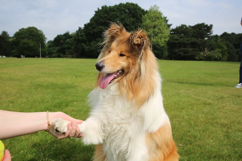 Merida – Bild: Blast! Lizenzbild frei