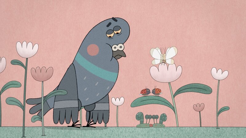 Der Täuberich ist am Boden zerstört. Während alle anderen Tiere einen Partner gefunden haben, wurde er von seiner Taubendame verlassen. – Bild: ZDF/​Studio FILM BILDER GmbH