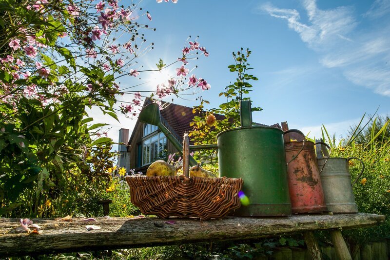 Für viele Menschen ist der Garten ein Ort der Erholung.Mit den eigenen Händen die Natur gestalten, Blumen zu hegen und zu pflegen, Gewächse aus aller Welt direkt vor der Haustür zu bewundern, das macht uns glücklich. – Bild: ORF III