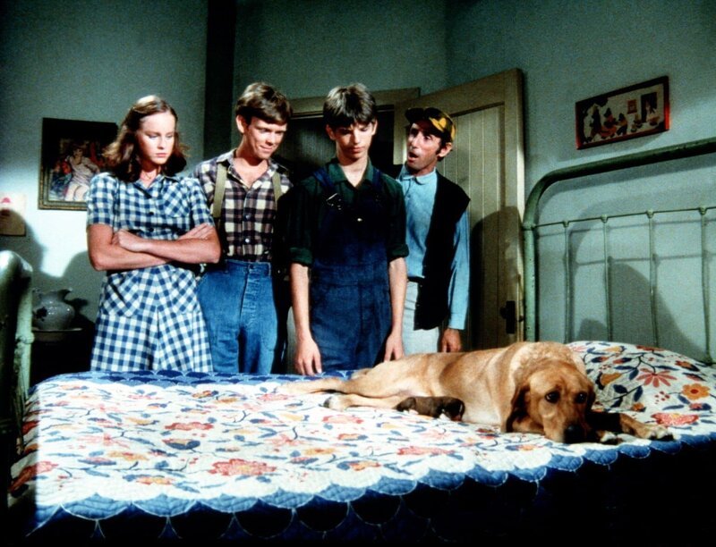 Reckless hat Junge geworfen. Erin (Mary Beth McDonough, l.), Ben (Eric Scott, 2.v.l.) und Jim (David W. Harper, 2.v.r.) betrachten die kleinen Welpen … – Bild: Sat.1 Gold