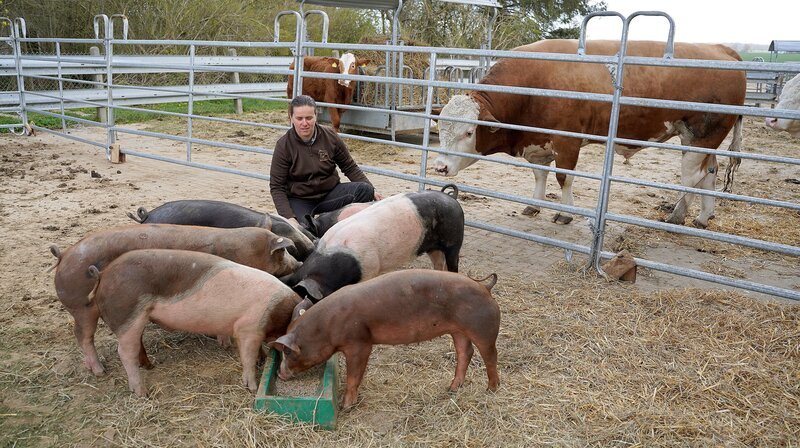 Zum Hof gehören auch sieben draußen lebende Schweine. Sie haben so bezeichnende Namen wie Bifi, Veggi und Bratwurst. – Bild: NDR/​AP underDOK