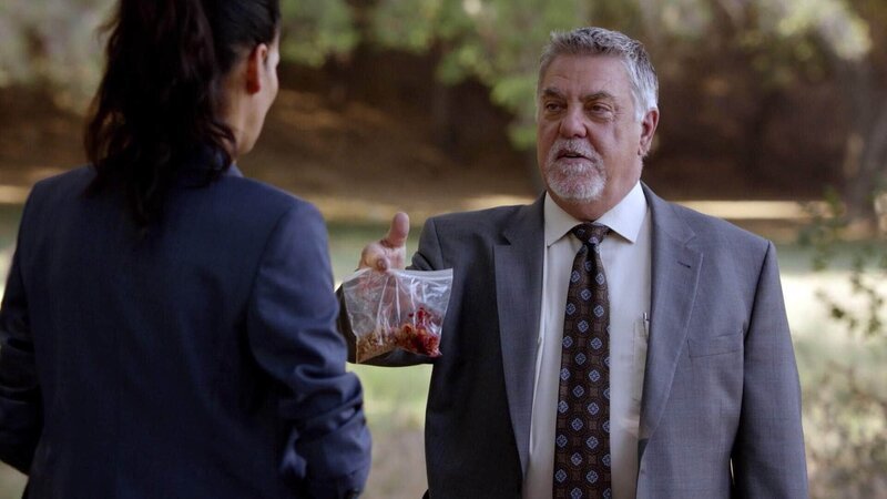 Ein Jogger tritt während seiner üblichen Runde auf eine Landmine und wird getötet. Am Ort des Geschehens überreicht Det. Vince Korsak (Bruce McGill) Det. Jane Rizzoli (Angie Harmon) den Finger des Opfers zur Überprüfung. – Bild: TVNOW