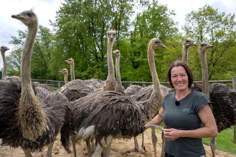 Karin Schnabel im Gehege bei den Straußen. – Bild: NDR/​WDR/​Melanie Grande