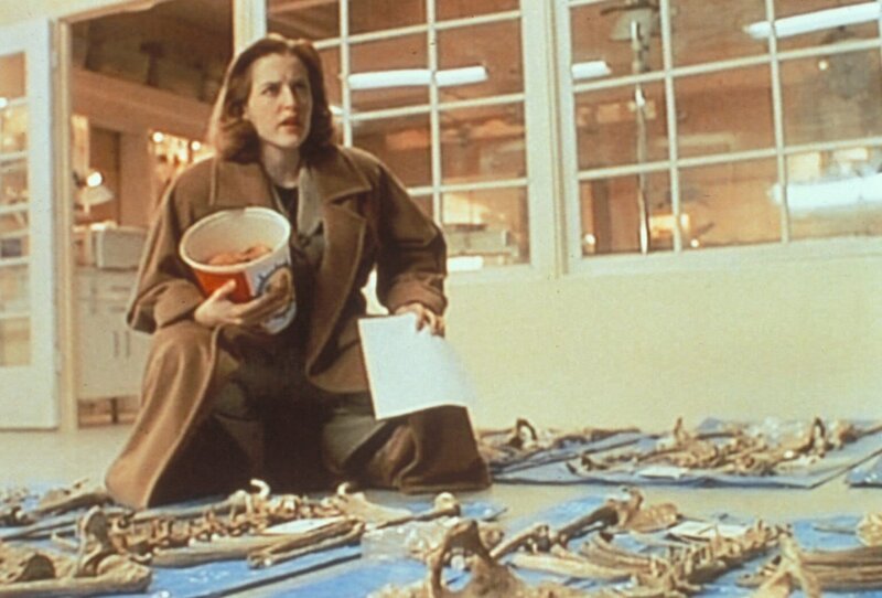 Scully (Gillian Anderson) gelingt es, aus einer riesigen Menge von Knochen, die aus einem mit Abwässern verschmutzten Fluss gezogen wurden, neun verschiedene Skelette zusammenzusetzen, denen jedoch allen der Kopf fehlt … – Bild: ProSieben MAXX