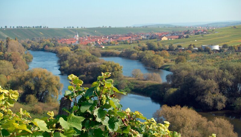 Weißwurstäquator wird der Main liebevoll genannt. Tatsächlich zieht er sich in vielen Windungen und Schnörkeln über 542 Kilometern von Ost nach West durch Deutschland. Vom Fichtelgebirge bis nach Mainz. Er ist der zweitlängste Fluss, der auf seiner ganzen Strecke in Deutschland fließt. Gleichzeitig ist der Main einer der am meisten verkannten Flüsse Deutschlands. Im Bild: Mainschleife. – Bild: MDR/​BR/​Blue Paw Artists