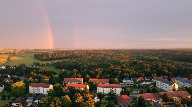 Große Wälder – Lebensraum der Spechte – Bild: MDR/​Capricornum Film/​Felix Büttner