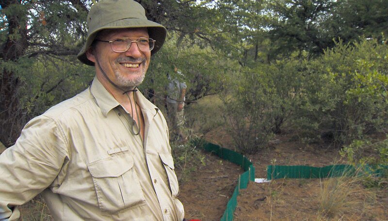 Spezialfallen sollen heute Nacht Amphibien anlocken. – Bild: SWR/​Dani Purer