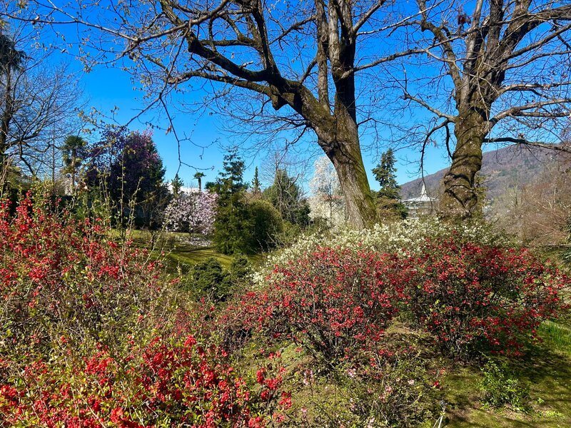Giardini Botanici di Villa Taranto. – Bild: ORF/​Ralph Huber-Blechinger