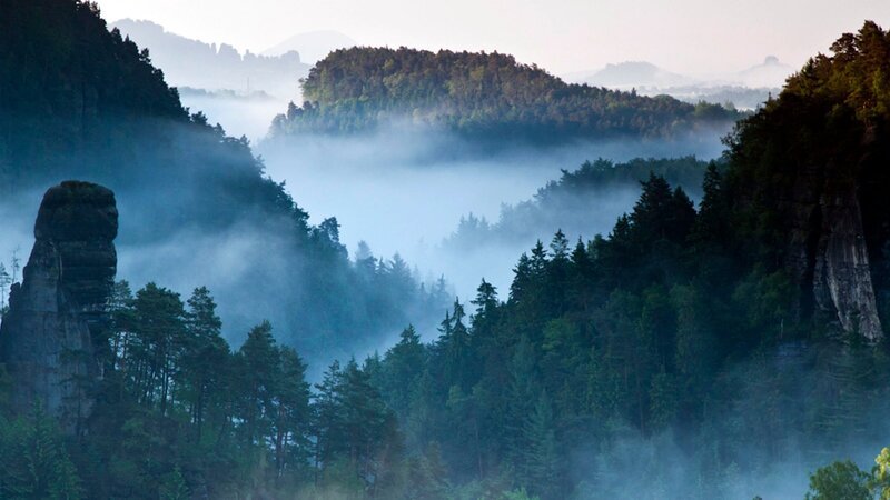 Aufsteigender Nebel verzaubert das Polenztal in der Sächsischen Schweiz. – Bild: ZDF und NDR/​Altayfilm