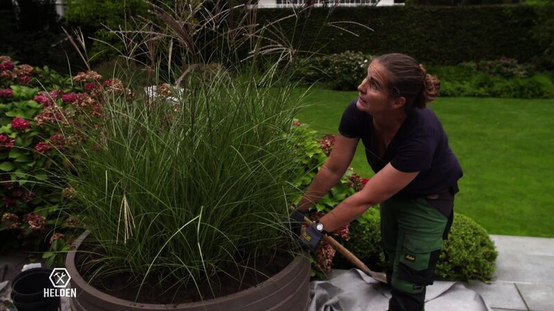 Maike, the landscape gardener maintains a 500 square meter lawn and all kinds of plants. – Bild: DMAX