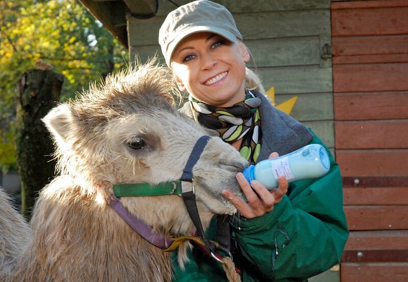MDR Fernsehen TIERÄRZTIN DR. MERTENS III. STAFFEL, FOLGE 33, „Der Sturz des Königs“. Sichtlich zufrieden hat sich Nicole Sommer (Jenny Elvers-Elbertzhagen) über Susannes Anweisung hinweggesetzt und das Kamelfohlen in den Tierkindergarten gebracht. Dr. Susanne Mertens war strikt gegen eine Handaufzucht des kleinen Tieres, um das Fohlen nicht seiner Mutter zu entfremden. – Bild: mdr/​Christa Köfer