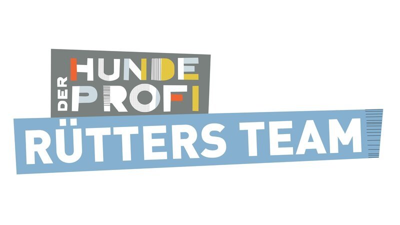 Logo zu „Der Hundeprofi – Rütters Team“. – Bild: RTL