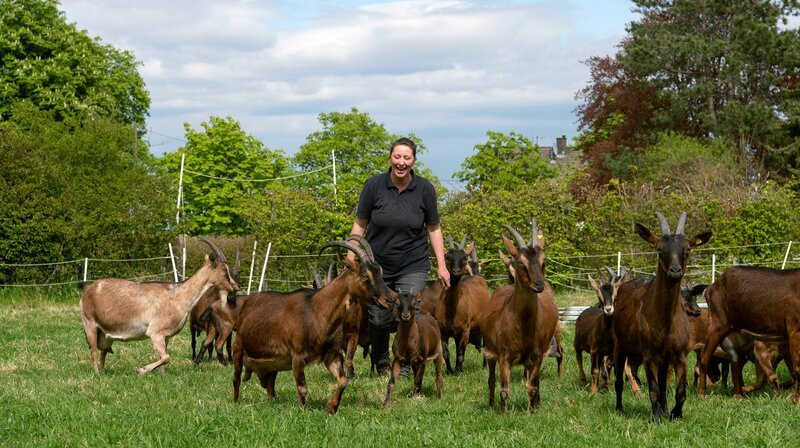 Auf dem Biohof von Ilona Kuhnen wird den ganzen Tag gemeckert. Rund 20 Ziegen leben auf dem Ziegenhof in Rösberg, einem Ortsteil von Bornheim. – Bild: WDR/​Melanie Grande