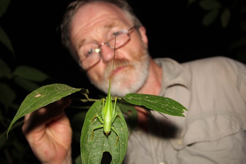 Dr. George McGavin mit einem Dschungelinsekt – Bild: ServusTV