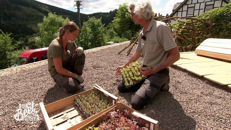 Jenny und Rolf – Bild: @RTL